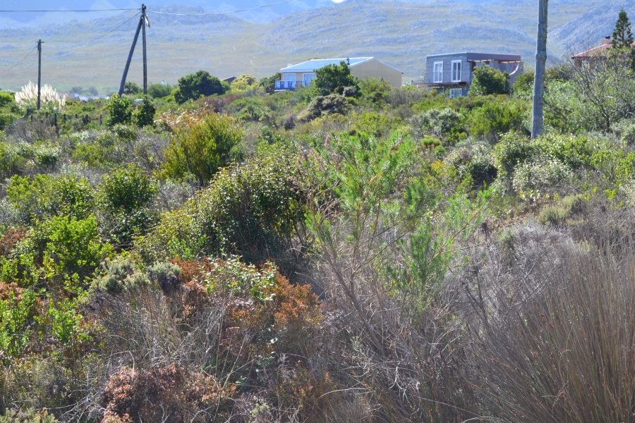 0 Bedroom Property for Sale in Pringle Bay Western Cape